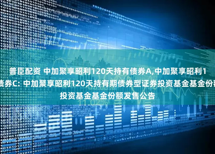 普臣配资 中加聚享昭利120天持有债券A,中加聚享昭利120天持有债券C: 中加聚享昭利120天持有期债券型证券投资基金基金份额发售公告