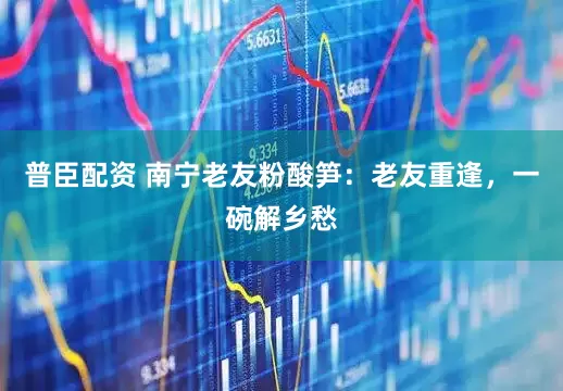 普臣配资 南宁老友粉酸笋：老友重逢，一碗解乡愁