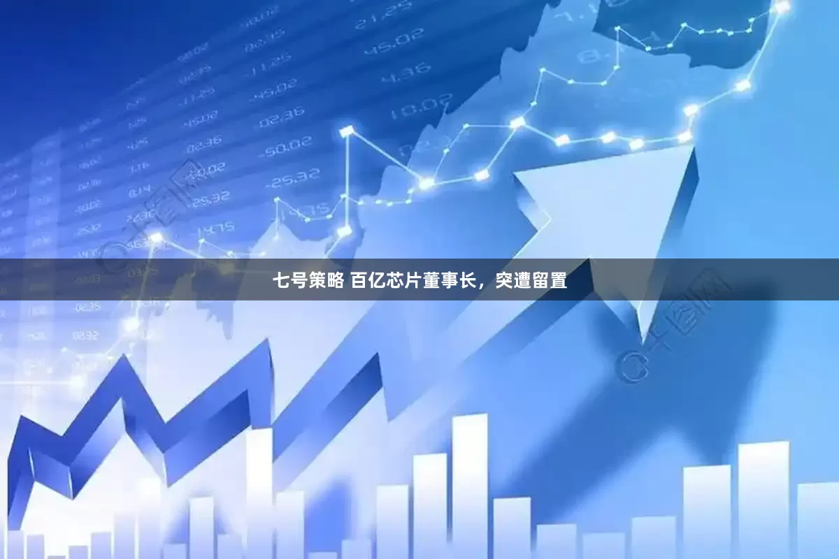 七号策略 百亿芯片董事长，突遭留置