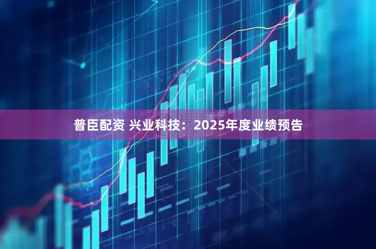 普臣配资 兴业科技：2025年度业绩预告
